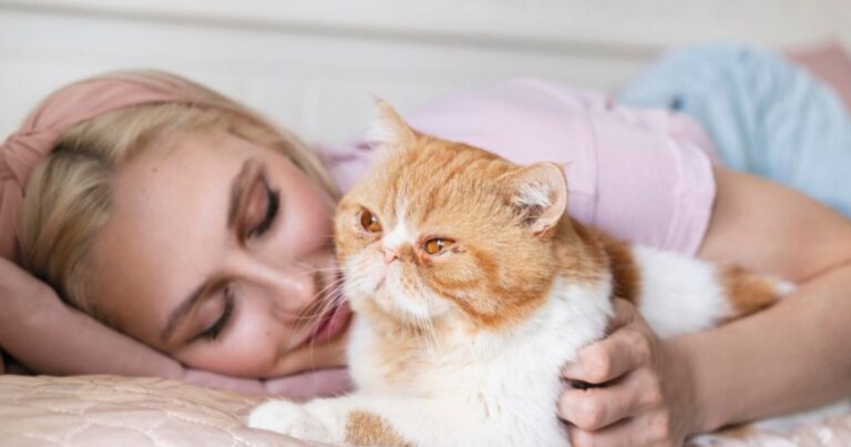 Cats Know When You'r Sick
